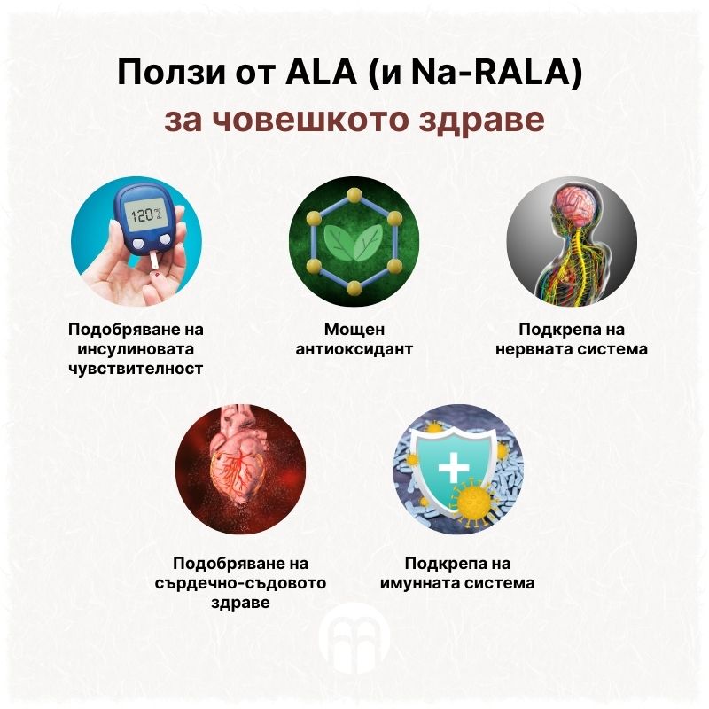 (Bulharština) Přínosy ALA (a Na-RALA) pro lidské zdraví